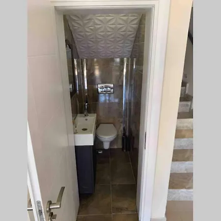 The *